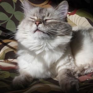 Meet your Posher, Beth